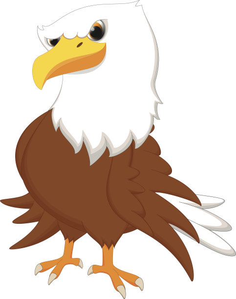 hawk