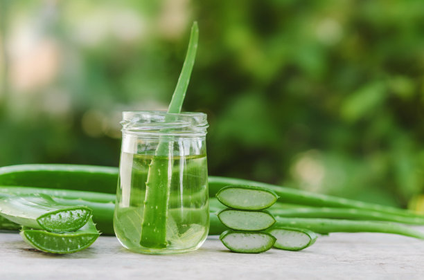 aloe