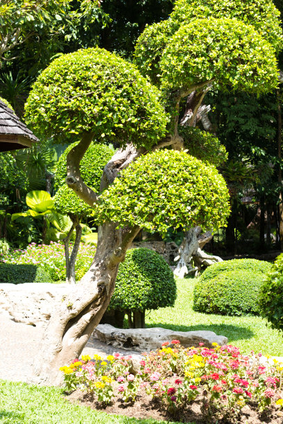 园艺展览,植物,私家花园