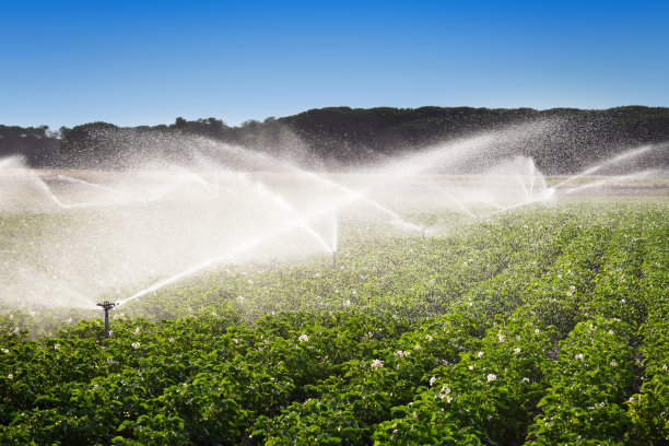 irrigation