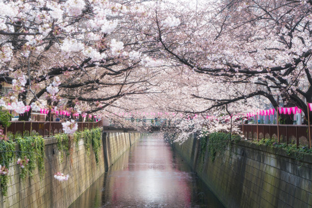 京都府