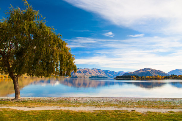 wanaka