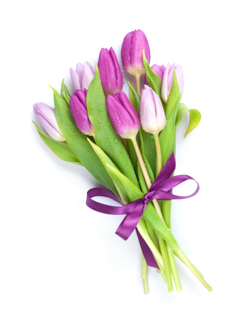 淡紫色花卉
