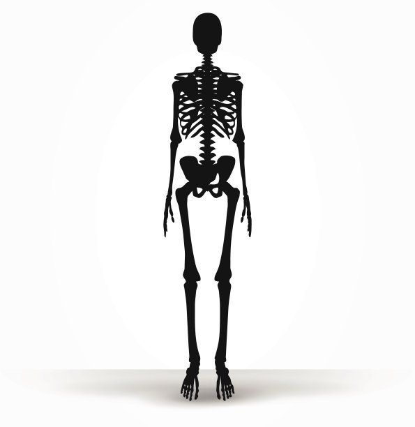 skeleton