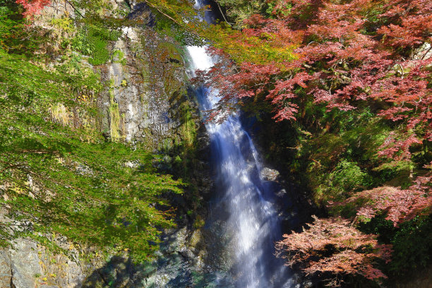 日本剑山