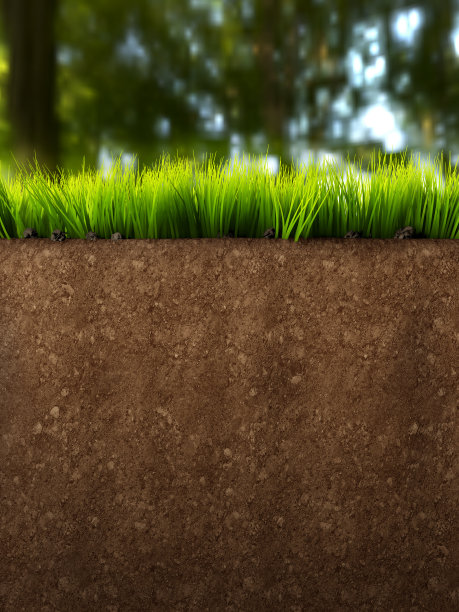 centre