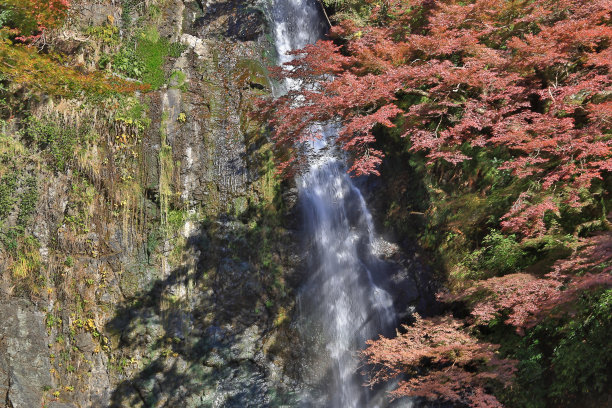 日本剑山