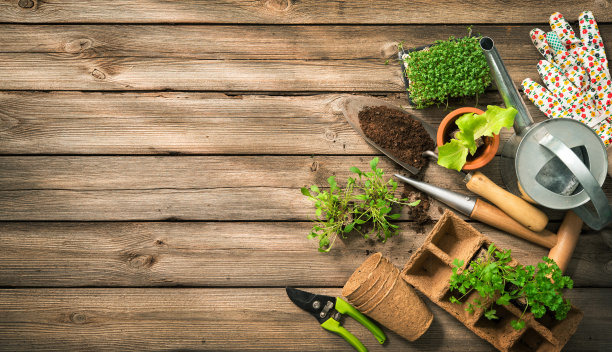 horticulture