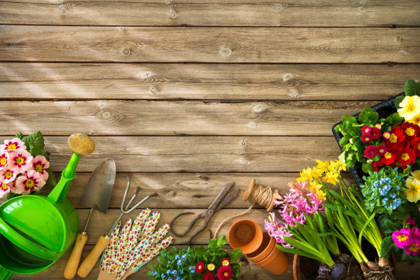 horticulture