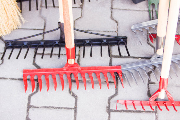 rake