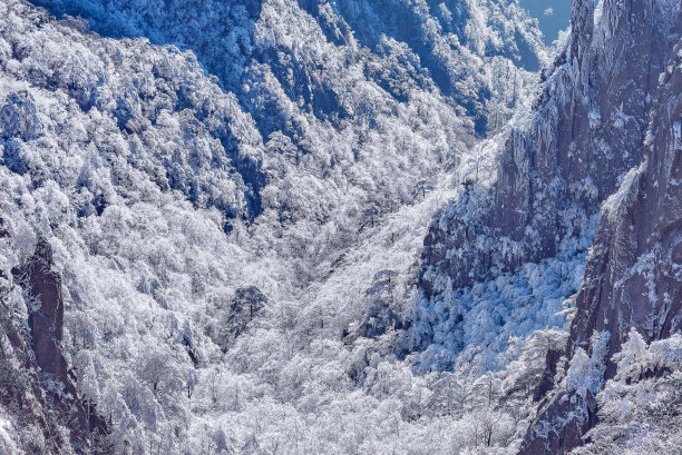 黄山雪景