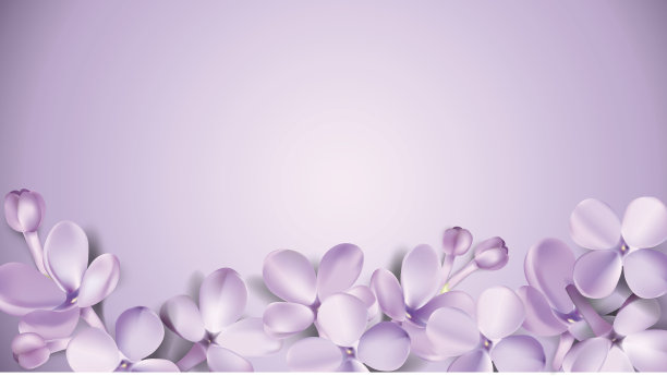 淡紫色丁香花
