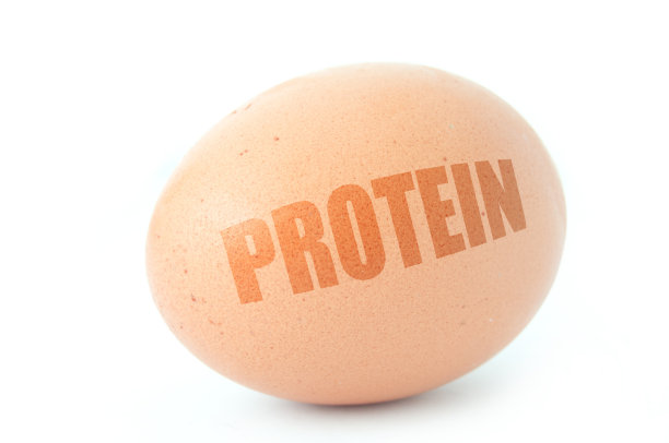 protein