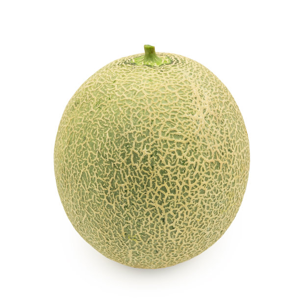 cantaloupe
