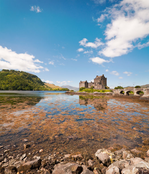 donan