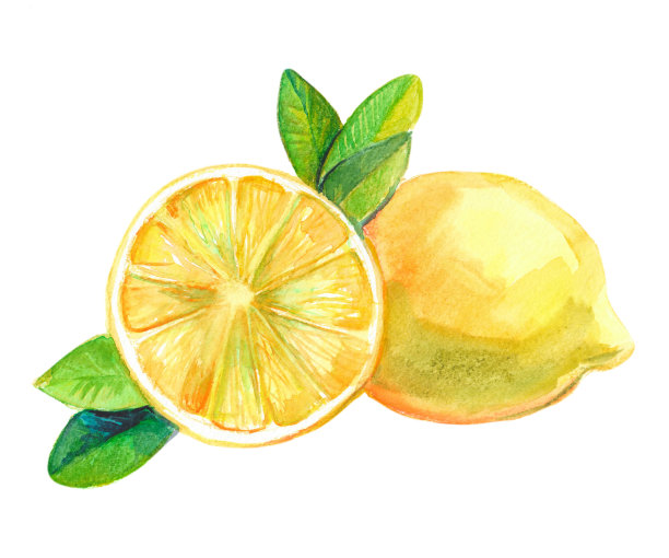 水彩柠檬