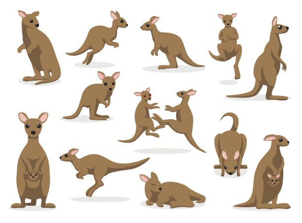 kangaroo