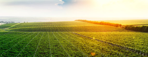 farming
