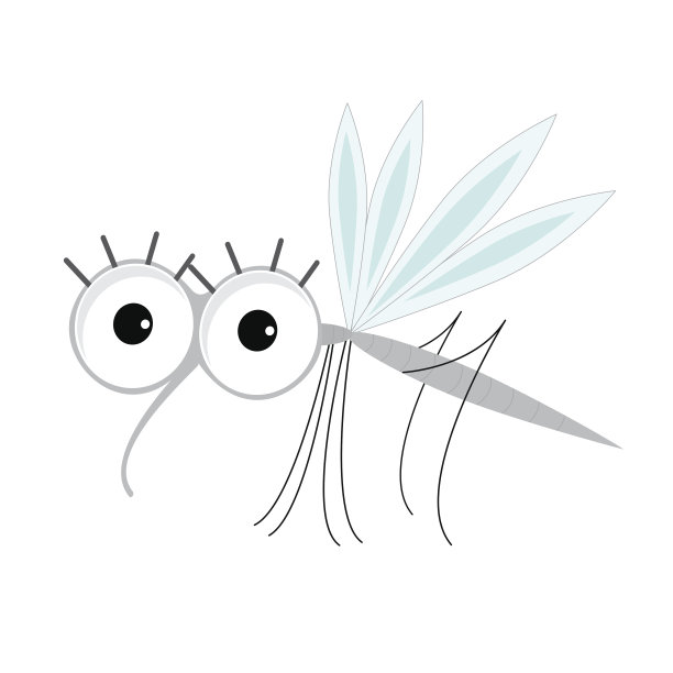 mosquito