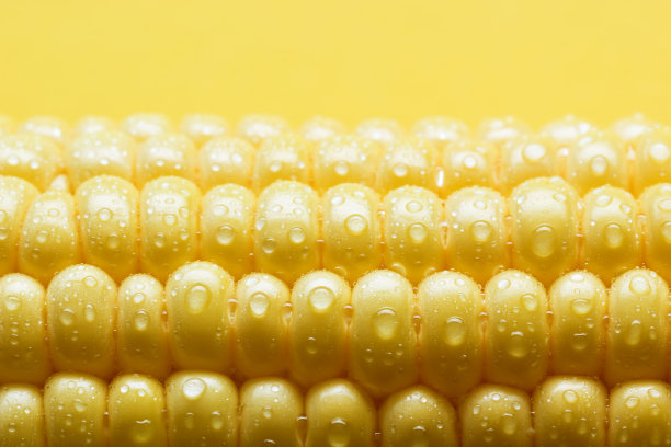 maize