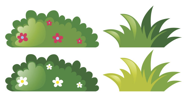 shrub