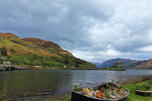 donan