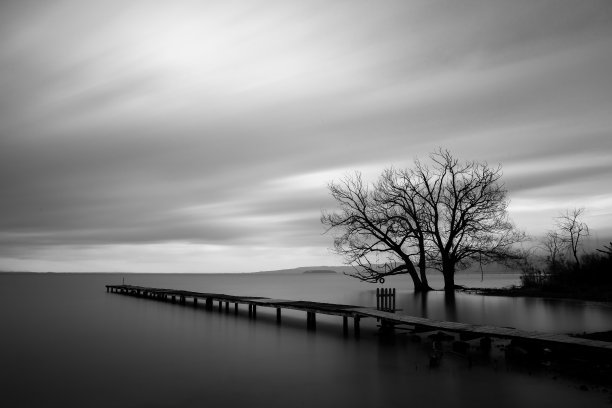 monochrome