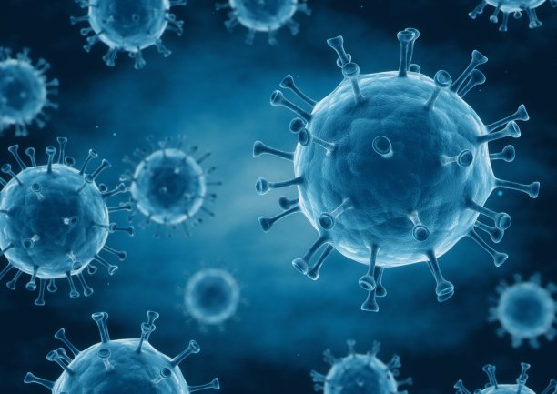 bacteria