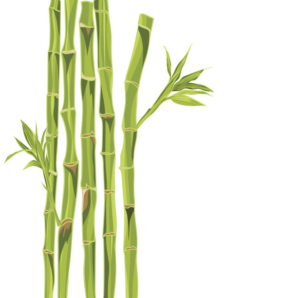 bamboo