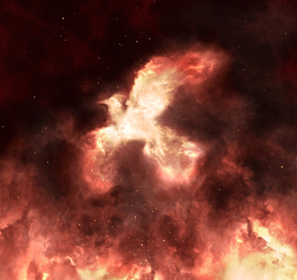 金红色凤凰插画