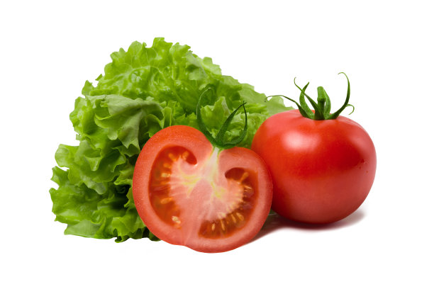 lactuca