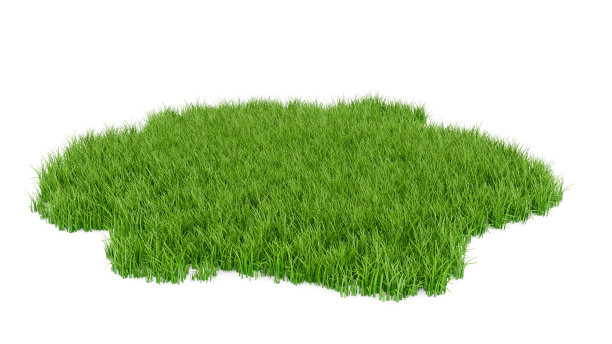 grass
