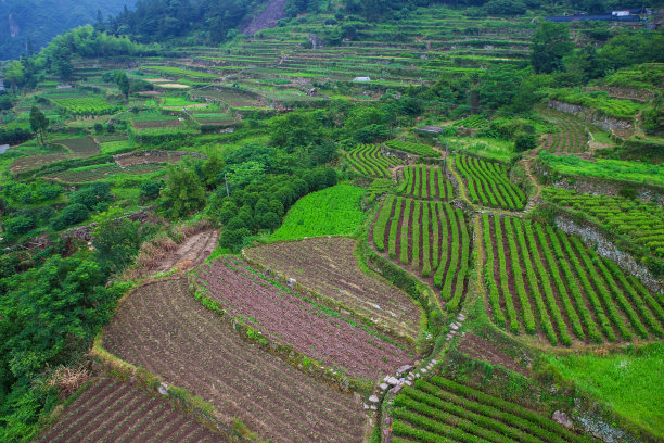 温州雁荡山