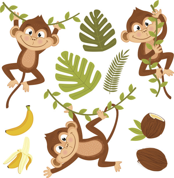 monkey