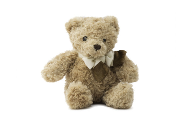 teddy
