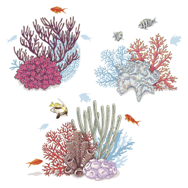 corals