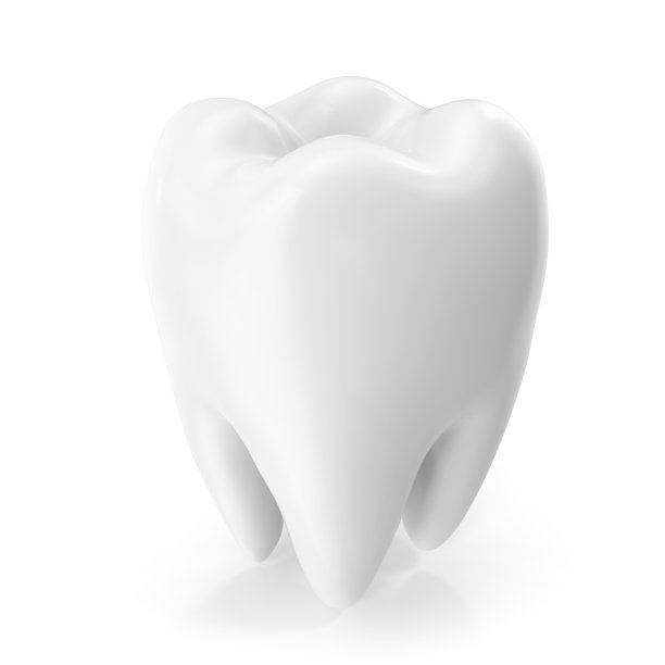 teeth