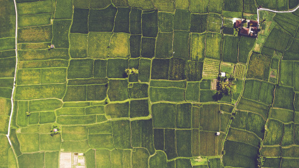 field