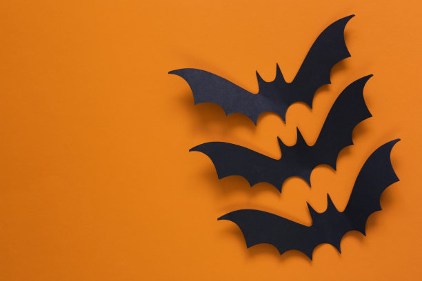bat