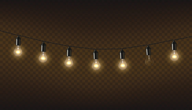 bulbs