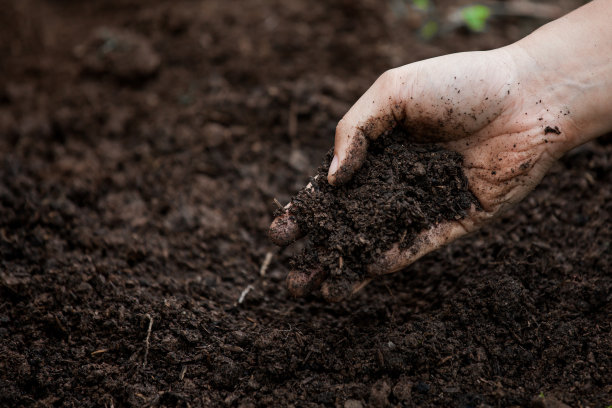 ground