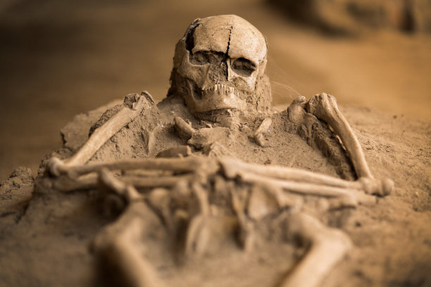skeleton