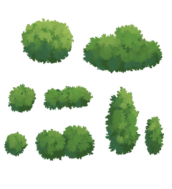 shrub
