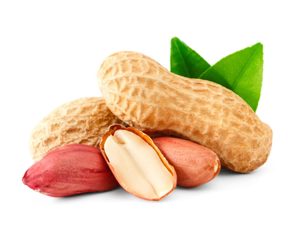 peanut