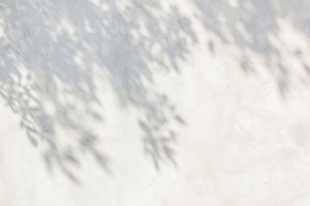 shadow