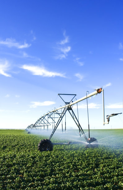 irrigation