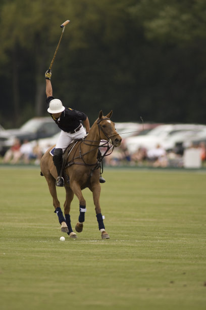 polo