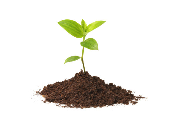 dirt
