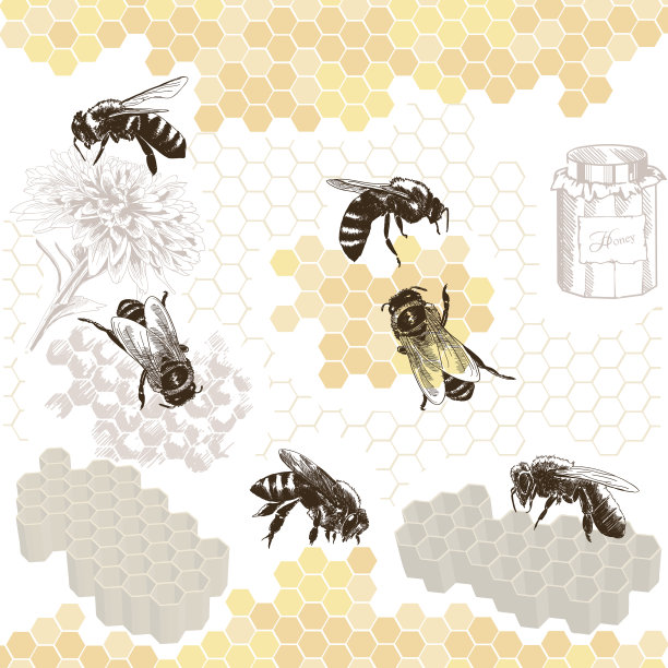 蜜蜂大图