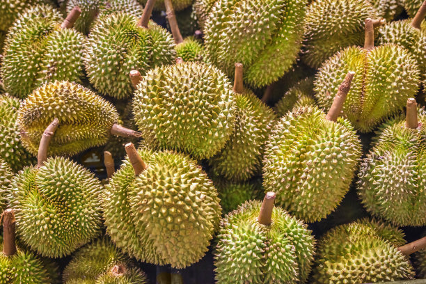 durian